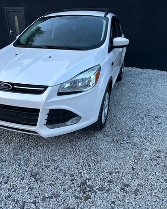 Ford Escape cena 38500 przebieg: 186000, rok produkcji 2015 z Zgorzelec małe 326